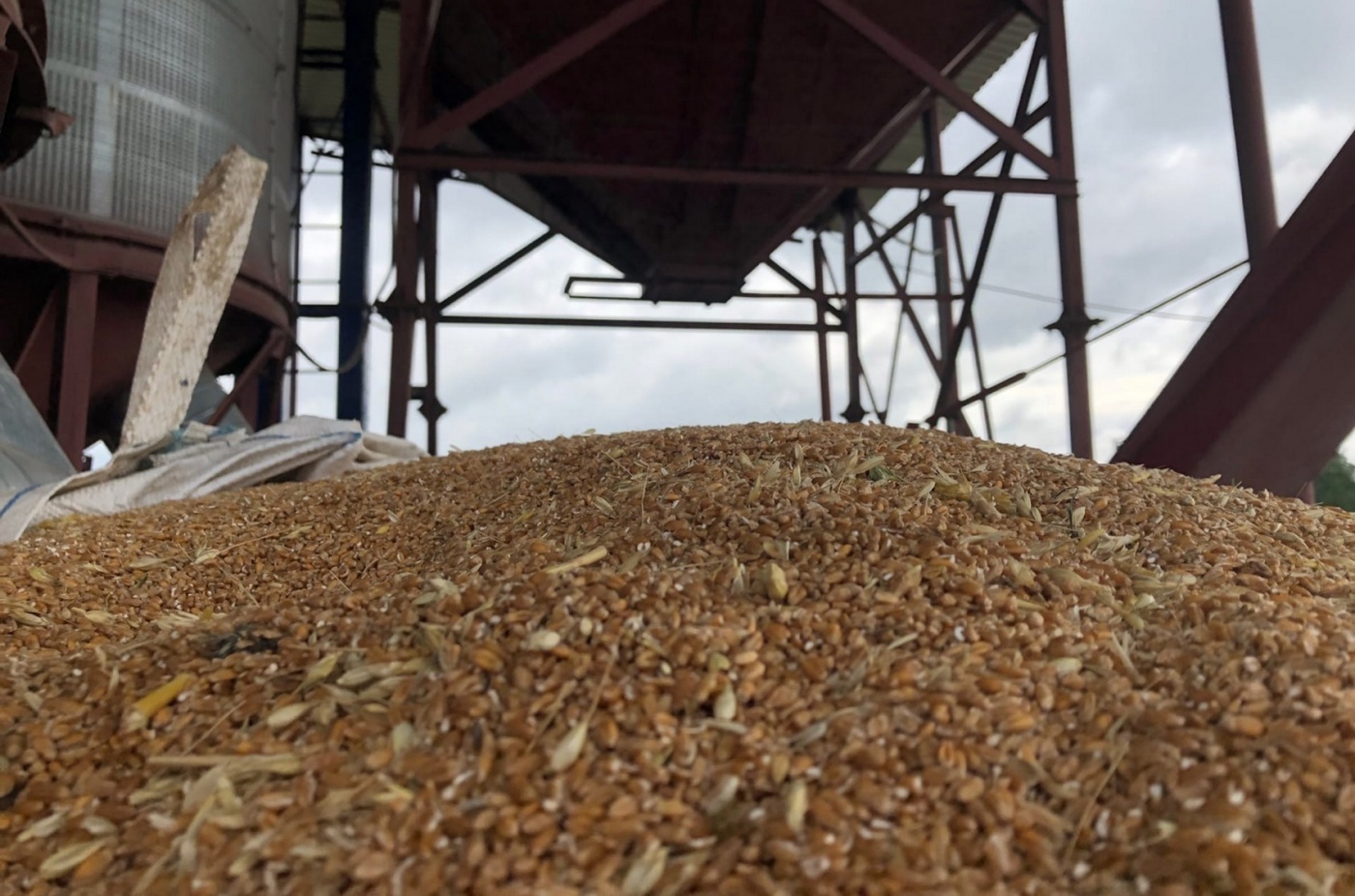 Украина приступила к экспорту зерна через Литву