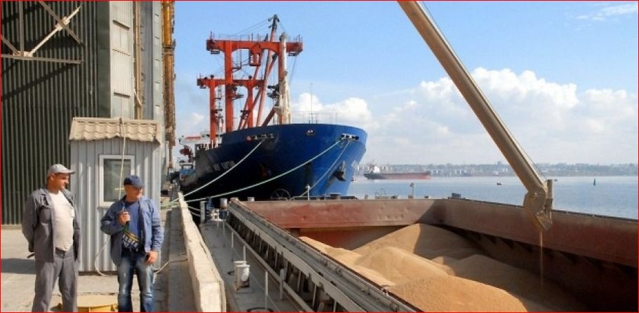 Турция и ООН подготовили "дорожную карту" на вывоз украинского зерна по морю