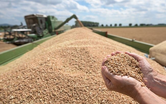 Мировые цены на продовольствие: аналитики заметили небольшое снижение