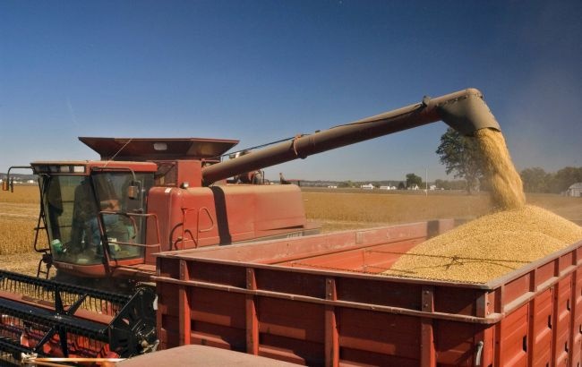 Турция хочет покупать украинское зерно со скидкой более чем в 25%