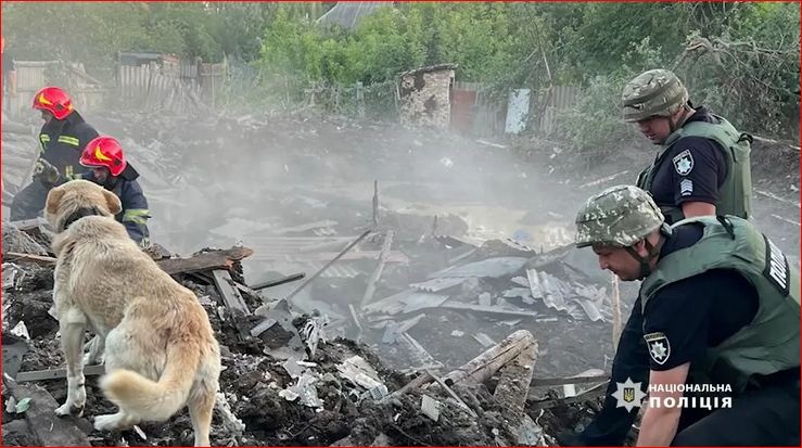 Пес ждет хозяев возле разрушенного дома: в сети показали трогательные кадры из Константиновки