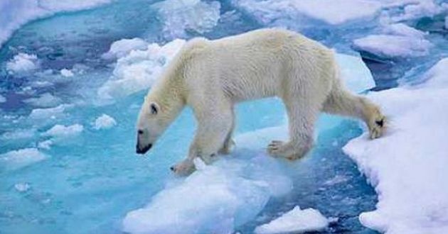 Незвичне потепління в Арктиці: води Баренцевого моря можуть "закипіти"