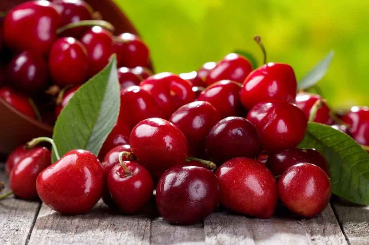 Украинские садоводы приступили к массовой реализации вишни: какие цены на ягоду