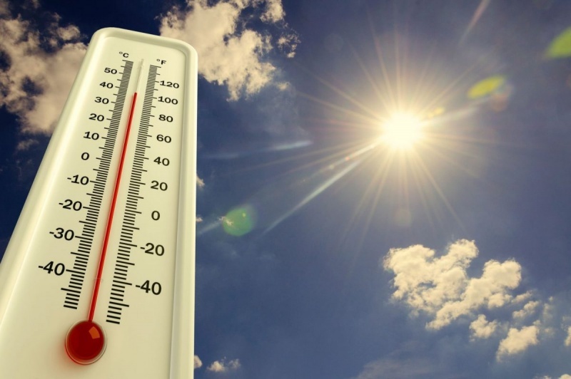 Температура будет достигать +38°С: в каких регионах Украины завтра ожидается невероятная жара