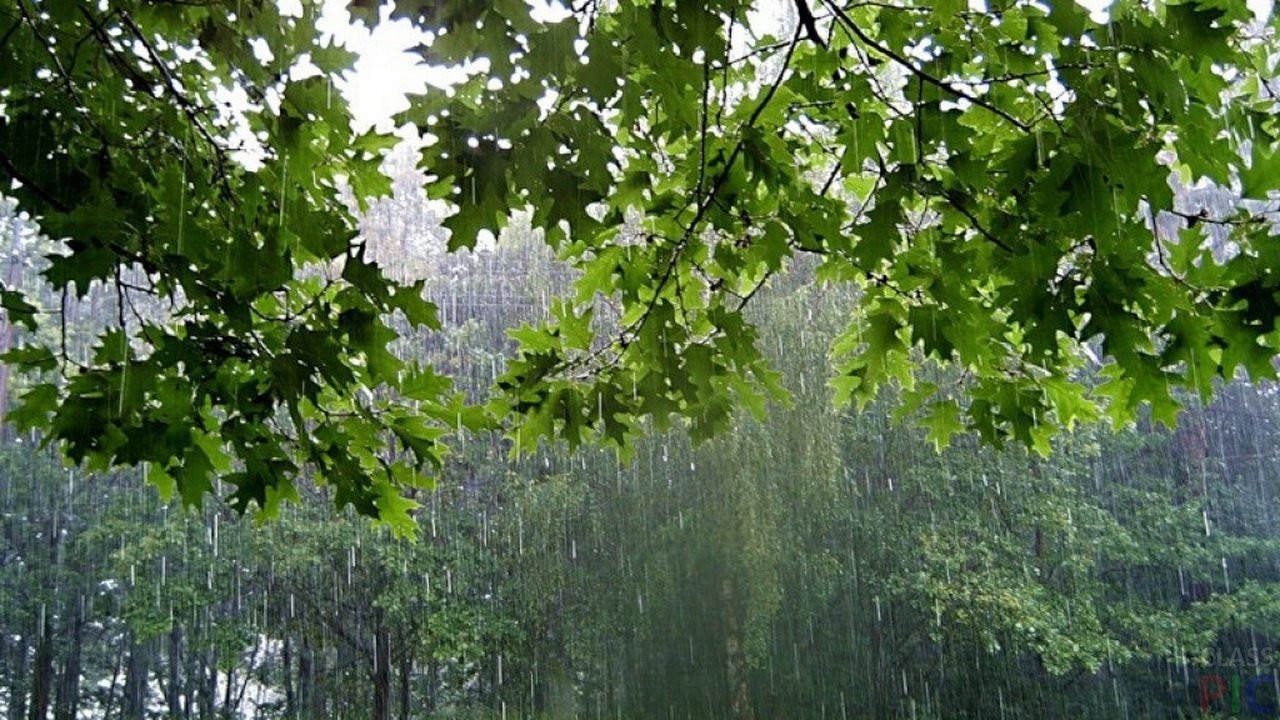 Комфортно, но мокро: прогноз погоды в Украине на неделю
