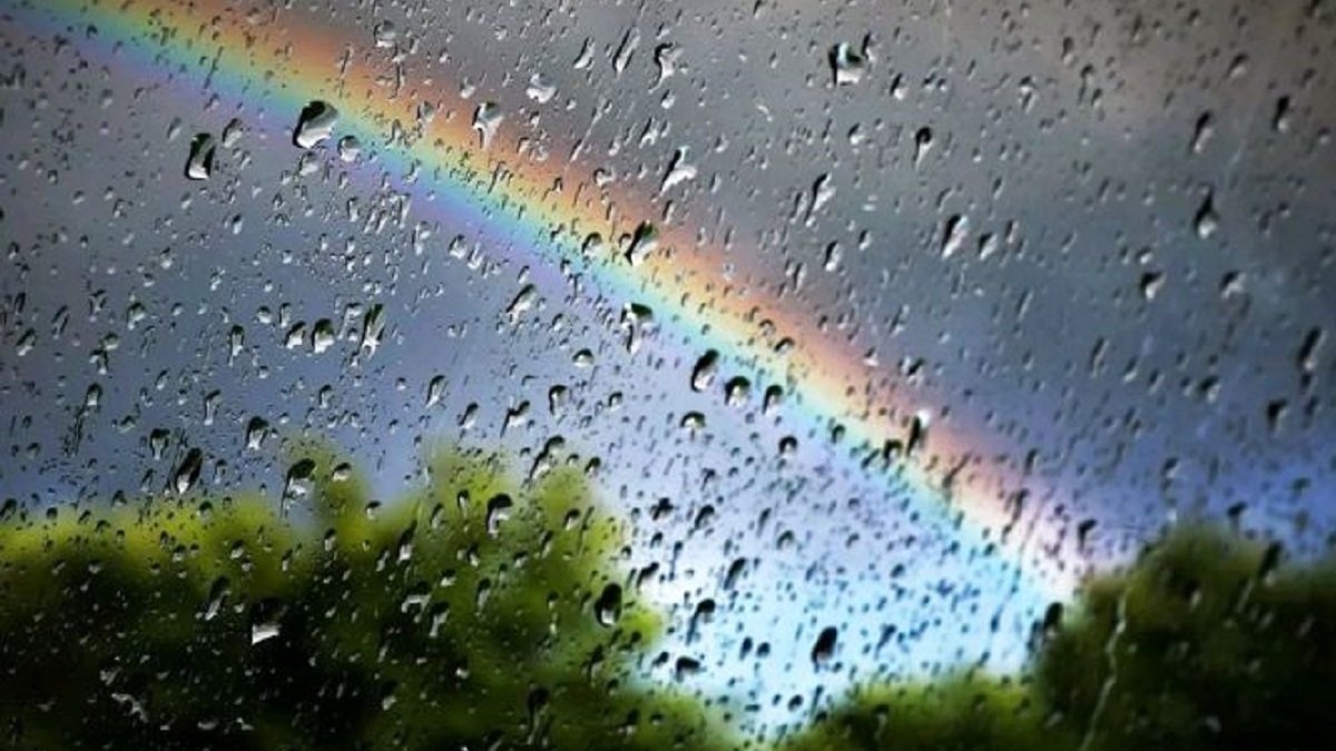 Дожди, грозы и ветер: прогноз погоды в Украине на 13 июля