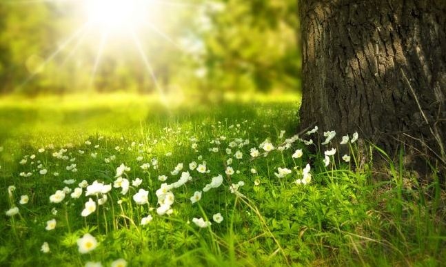 Погода в Украине: прогноз синоптиков на ближайшие дни