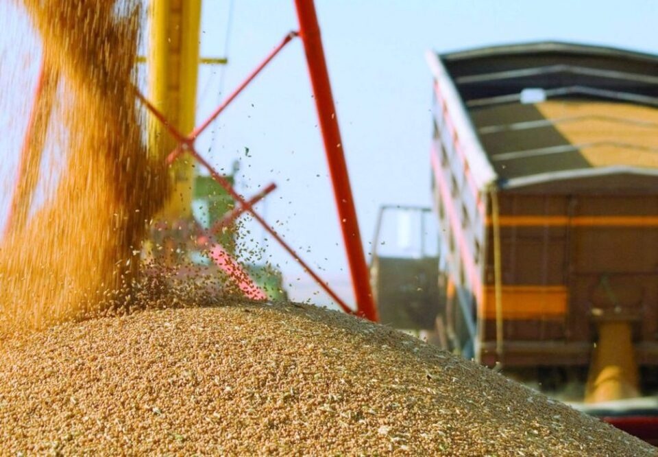 Восстановление морского экспорта зерна: не получит ли Россия дополнительные возможности для захвата Одесской области