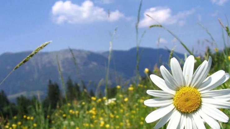 Сегодня тепло, но часть Украины накроют дожди