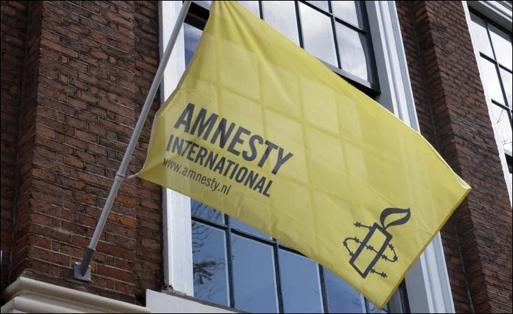 В Amnesty International извинились за скандальный отчет по Украине: подробности
