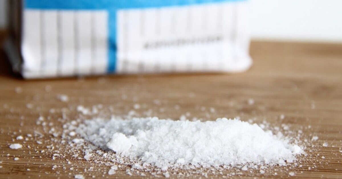 Перекроет 100% потребностей страны: на Закарпатье нашли крупное месторождение соли