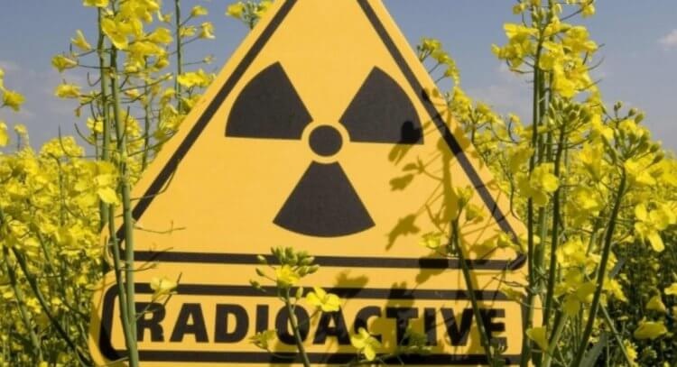 Как действовать в случае радиационной опасности на Запорожской АЭС: инструкция