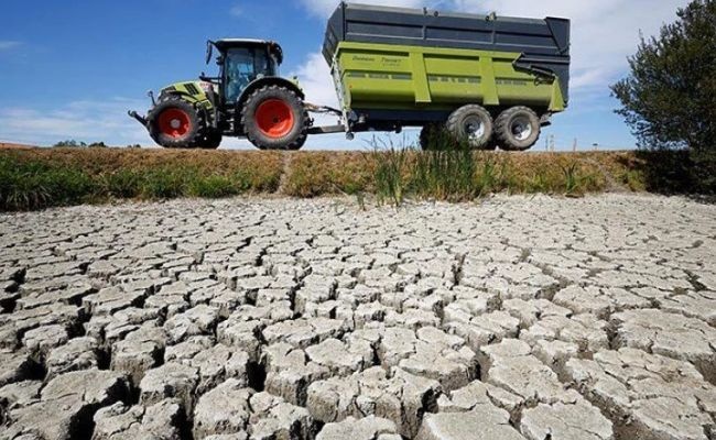 Найаномальніша посуха за останні 500 років: які країни Європи охопив катаклізм