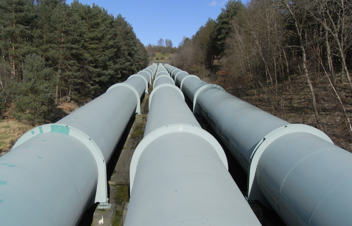 Україна та Польща мають намір побудувати трубопровід для транспортування олії