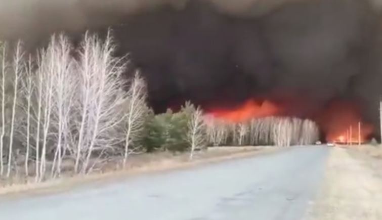 На Сумщине от обстрелов загорелся лес, пожар перекинулся на территорию РФ