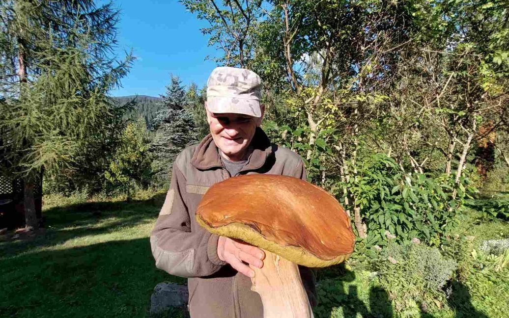 В Карпатах обнаружили гигантский съедобный гриб