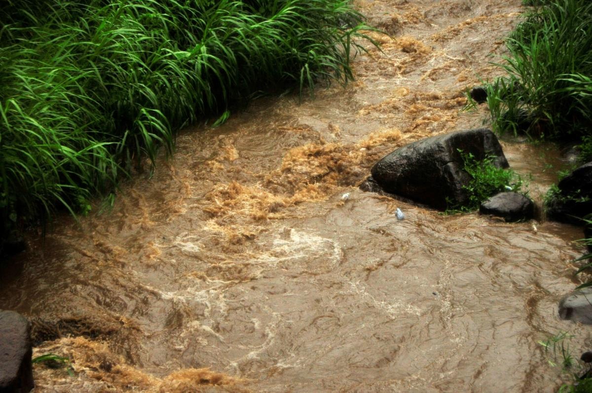 В Україні оголошено ІІ рівень небезпеки: очікується підвищення рівня води