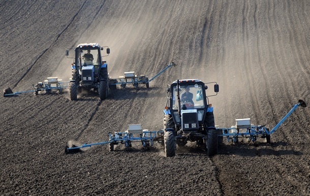 В этом году посевные площади зерновых значительно сократятся - Минагрополитики