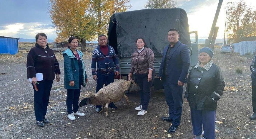 В России семьям мобилизованных раздают овец