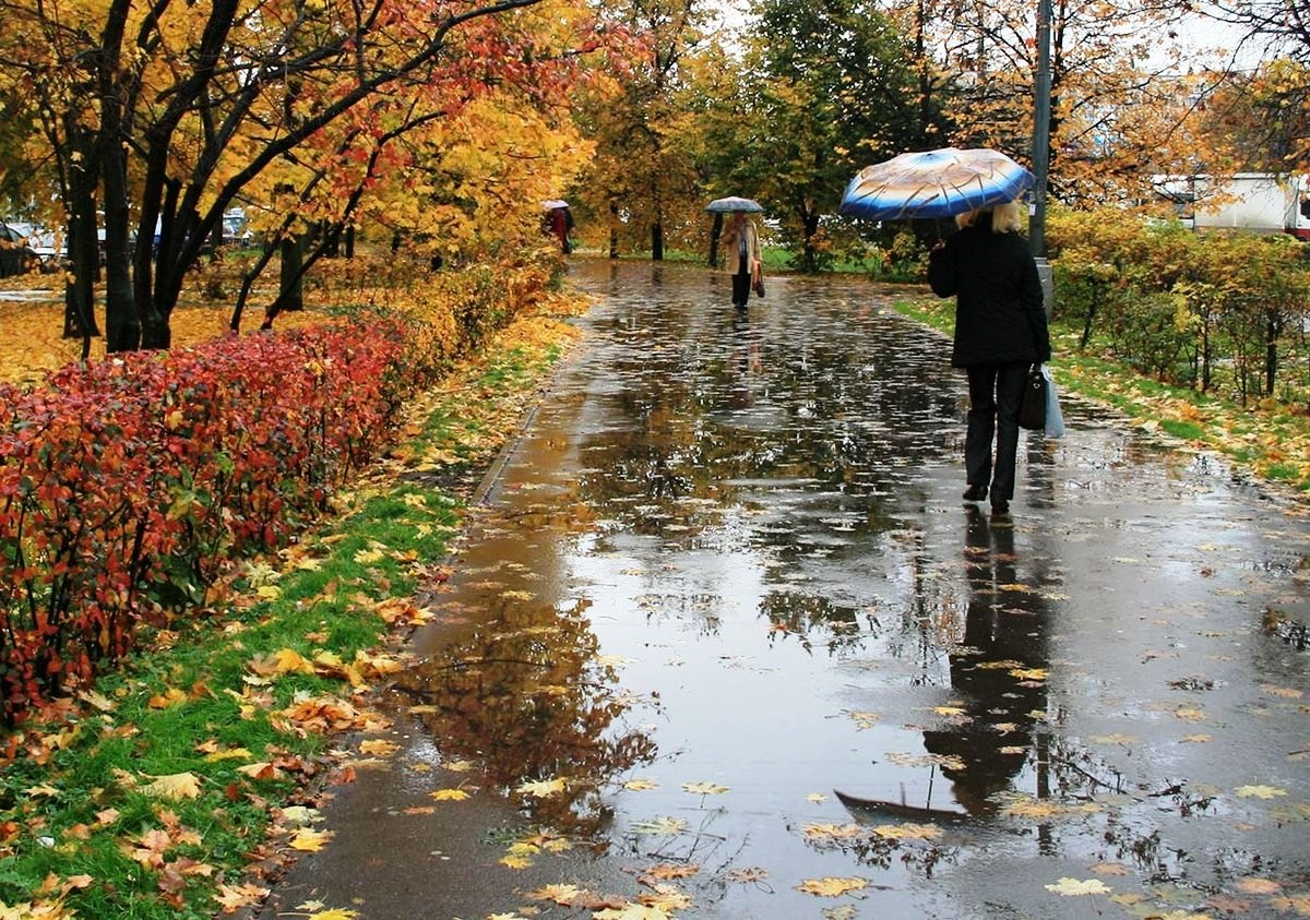 Дождь и ветер: прогноз погоды в Украине на сегодня