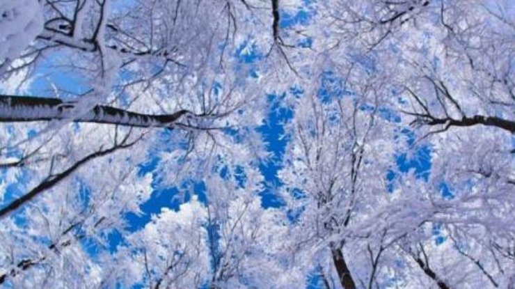 Погода будет мартовской: украинцам пообещали аномально теплый декабрь