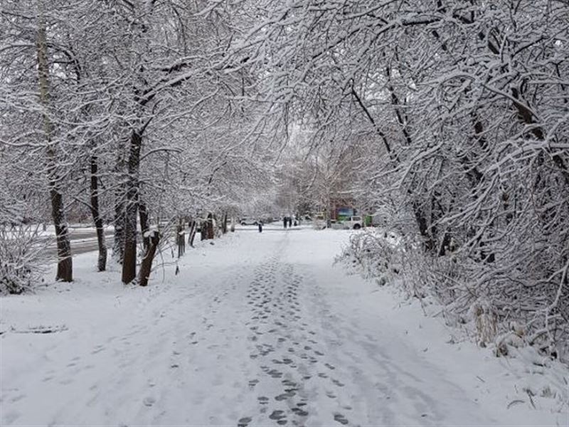 Коли в Україну прийде зима та наскільки вона буде сніжною: прогноз синоптика