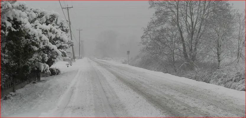 До -20 градусов: синоптики рассчитали зимнюю температуру в Украине и когда выпадет первый снег