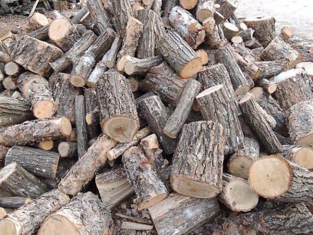 Бесплатные дрова: кто и как может получить
