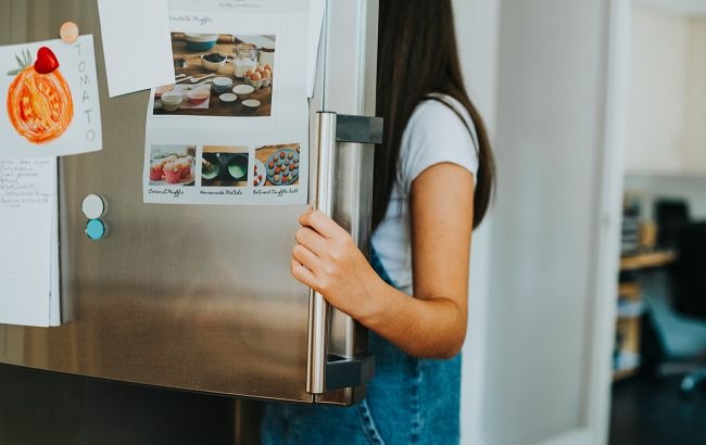 Как выбрать и не сломать холодильник при перебоях с электричеством: несколько рекомендаций