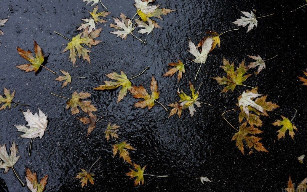 Синоптик удивил прогнозом на ноябрь: какой будет погода
