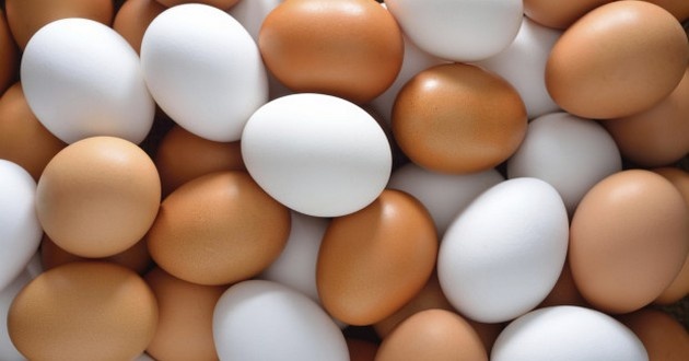 В Киеве обнаружили яйца по 280 гривен