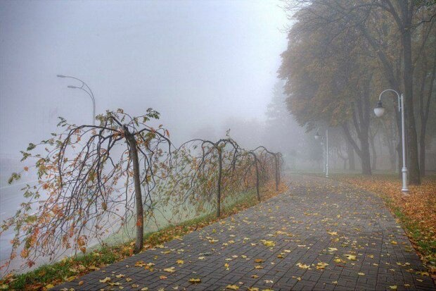 Туман и облачность, но без осадков: прогноз погоды в Украине на сегодня