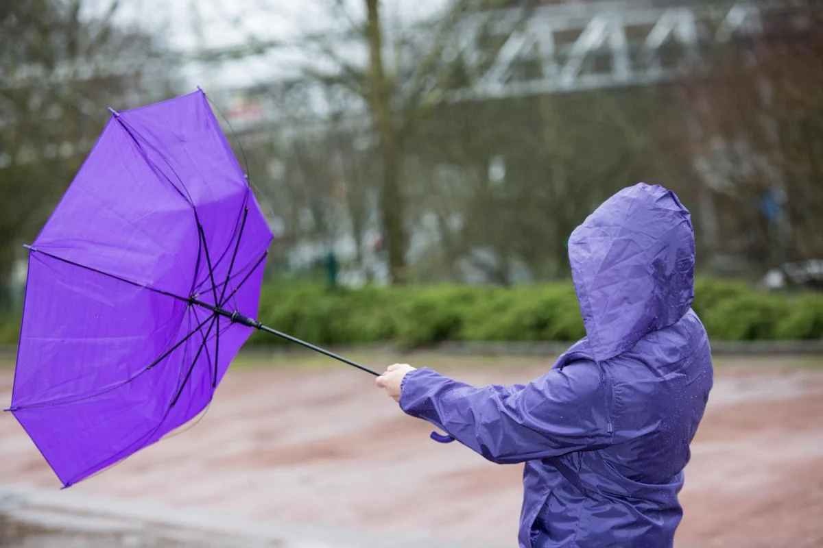 Дожди и усиление ветра: синоптик озвучил прогноз погоды до конца недели