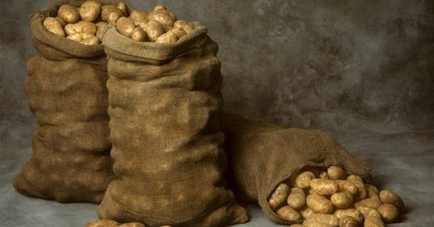 Как сохранить картофель всю зиму в квартире: лайфхаки