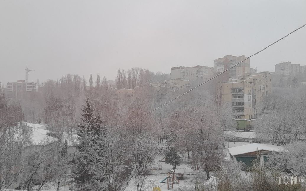 На Украину движется снегопад: какие регионы заметет