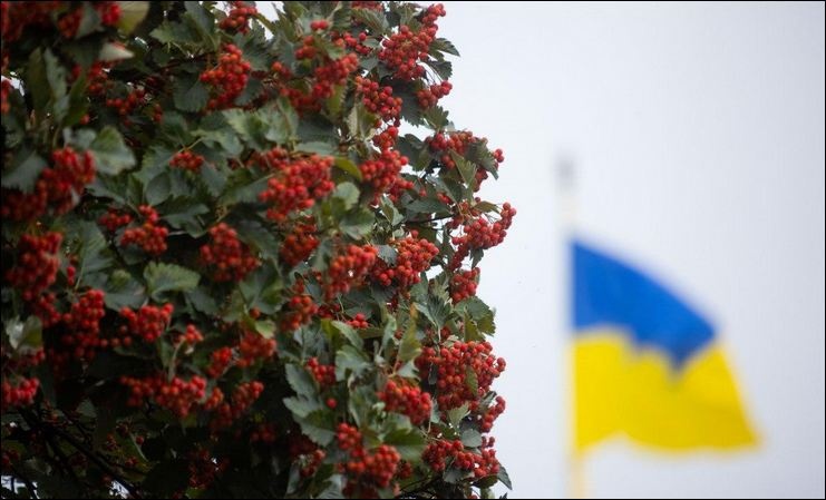 Пенсии, субсидии и прожиточный минимум: что изменится в Украине с 1 декабря