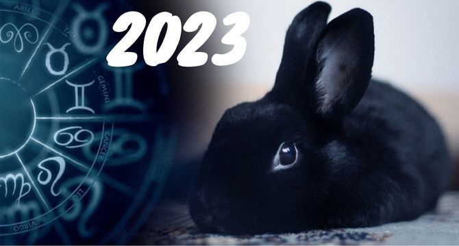 Гороскоп на следующий год: что принесет Черный водяной кролик знакам зодиака