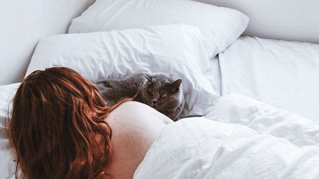 Чому не варто спати з котом: народні прикмети