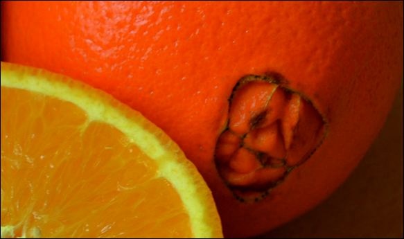 Как выбирать только сладкие апельсины: одна маленькая хитрость