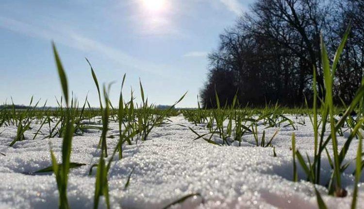Украину охватит очередное мощное потепление: температура поднимется до весенних отметок
