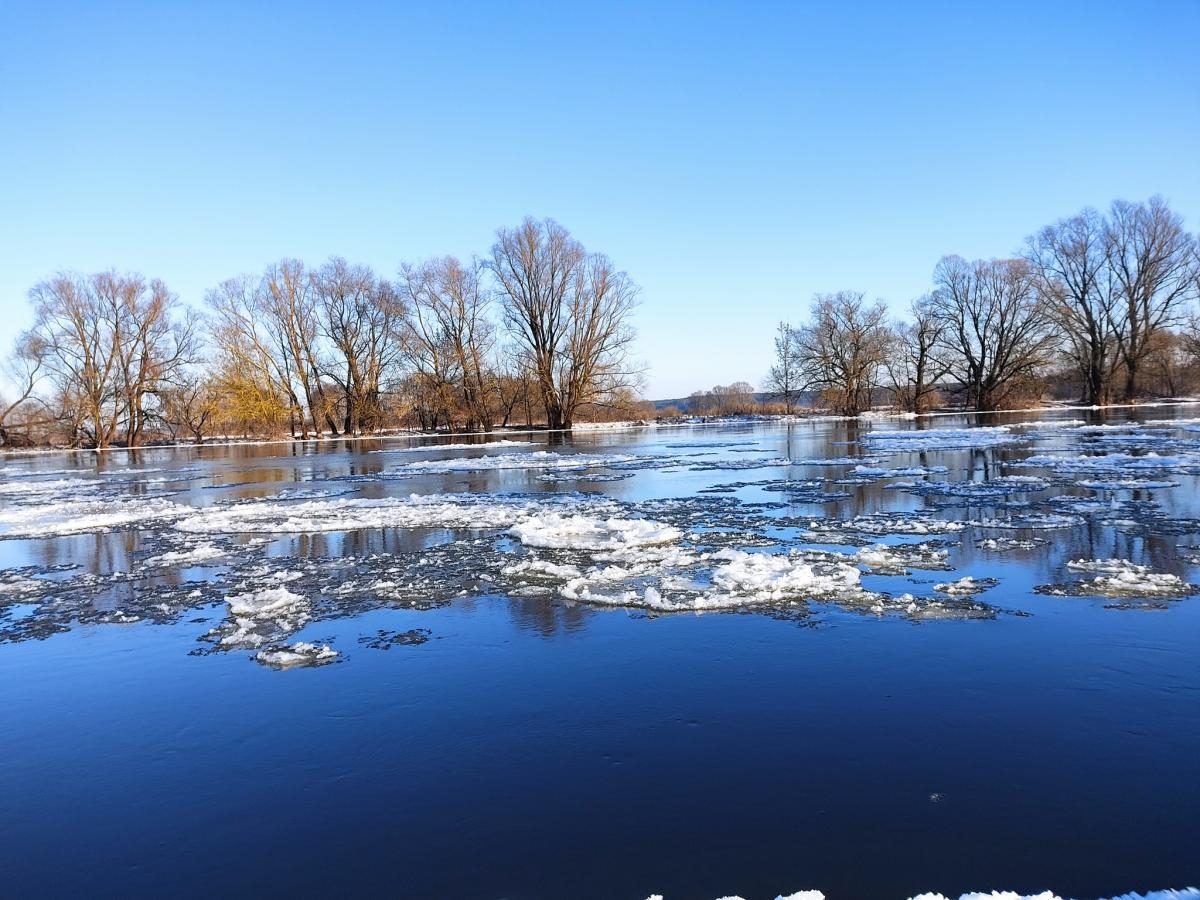 На Черниговщине наблюдается самое сильное за 130 лет зимнее наводнение