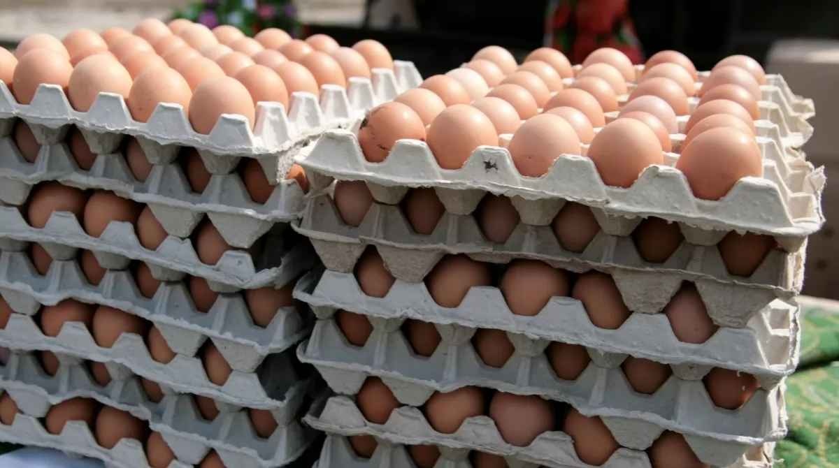 Не по 17 гривен: в Украине ожидается резкое падение цен на яйца