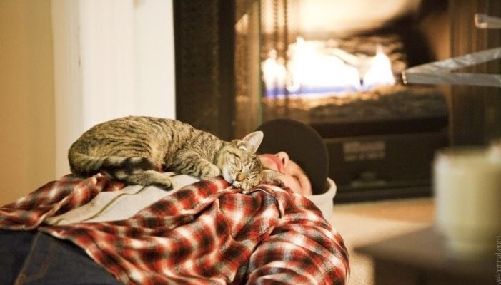 Чому кішки люблять спати на ваших грудях