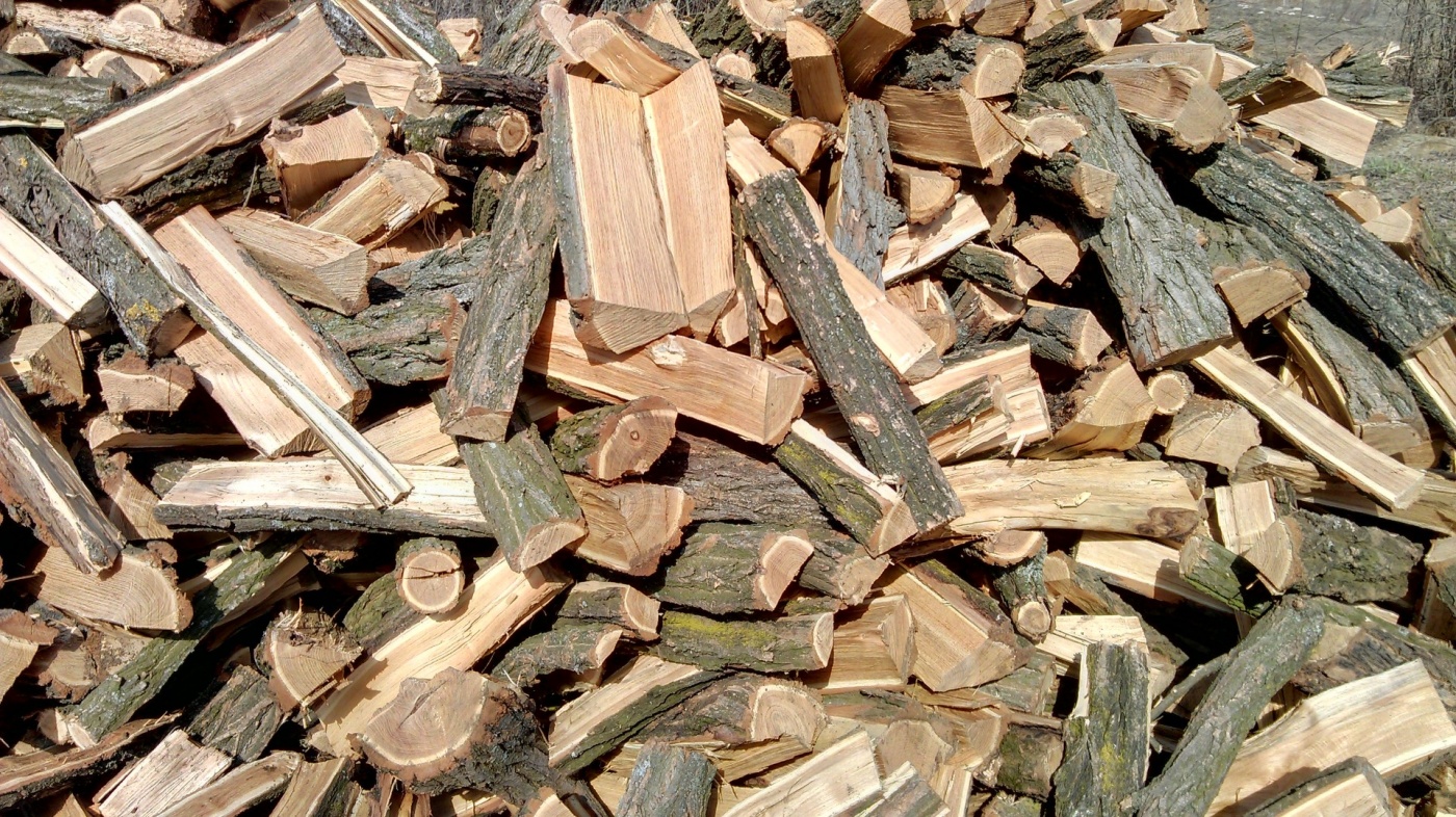 Українців почали забезпечувати безкоштовними дровами: як отримати