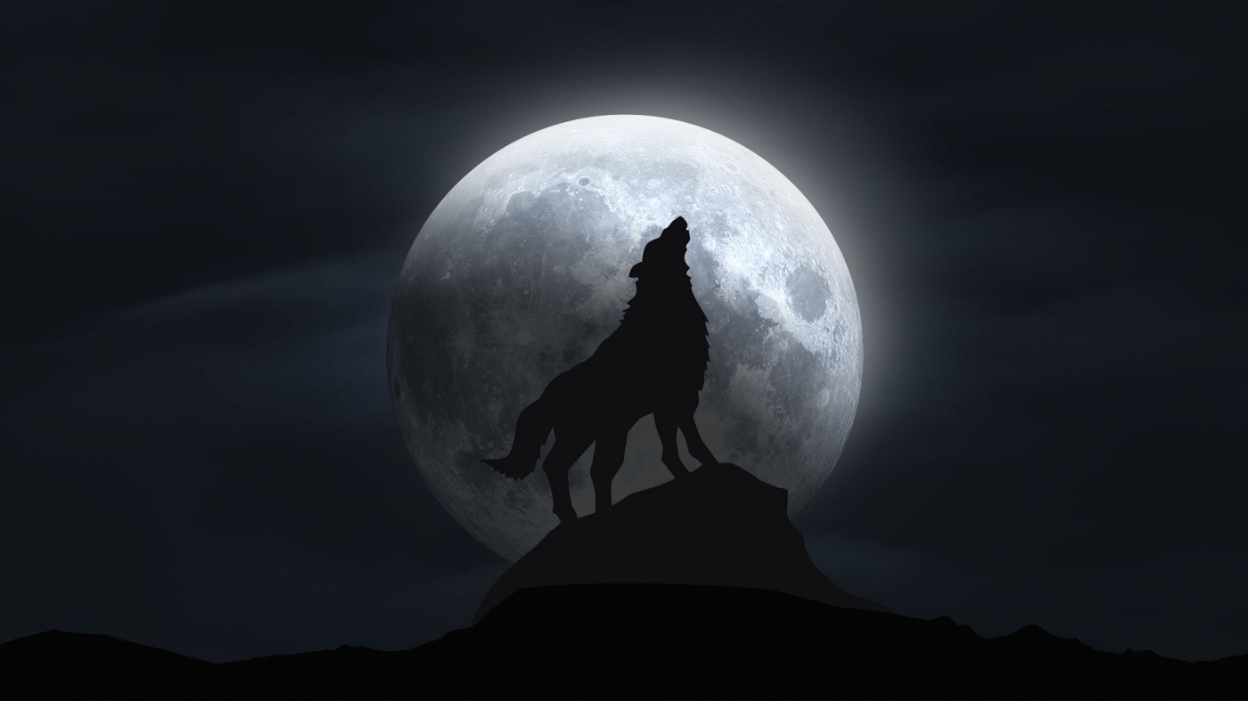 Волчья Луна: что нельзя делать в январское полнолуние