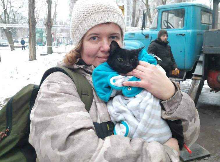 Зі зруйнованого будинку в Дніпрі через два тижні врятували кішку