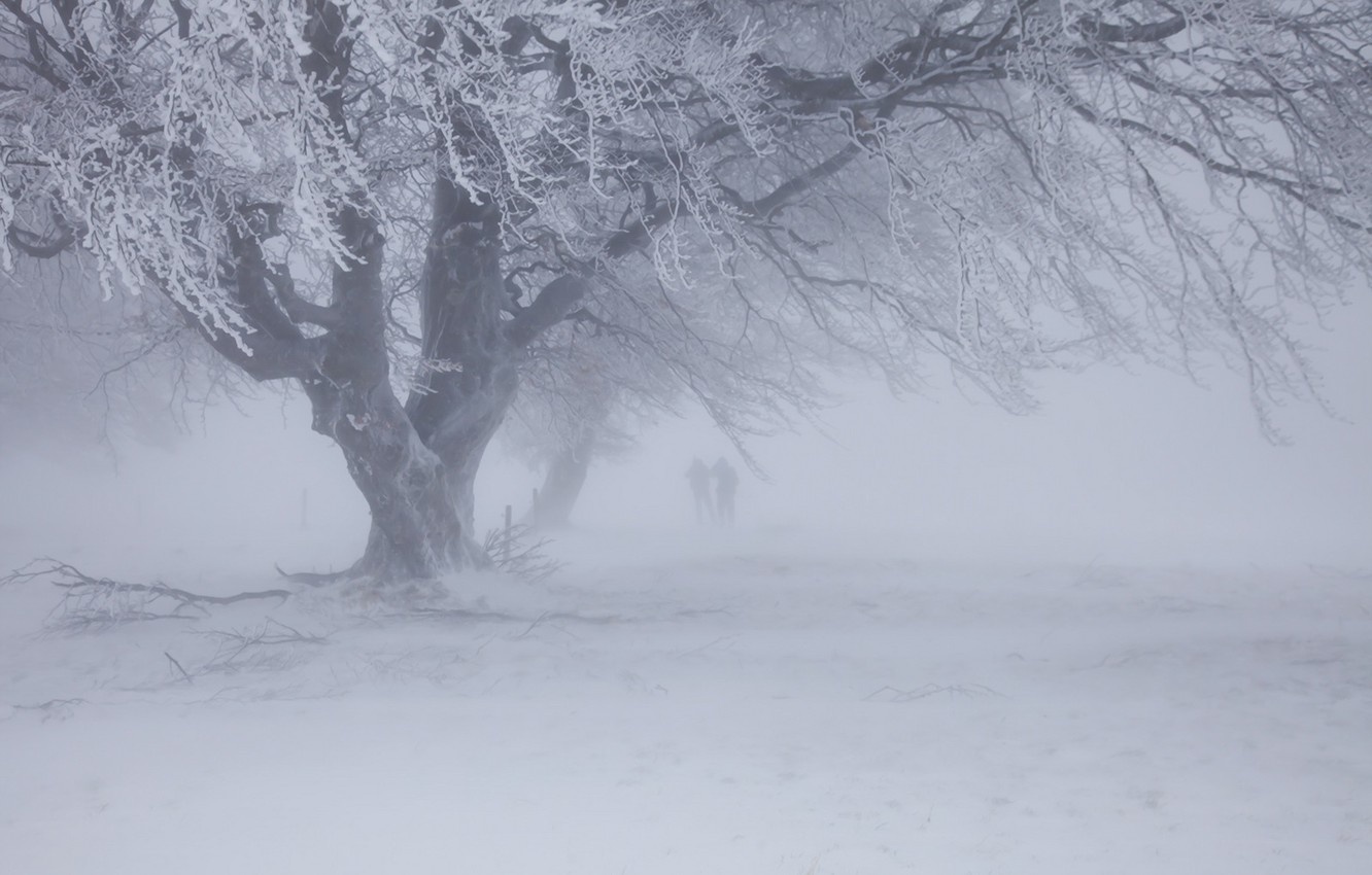 На Україну насуваються сильні снігопади та хуртовини: коли прийде справжня зима