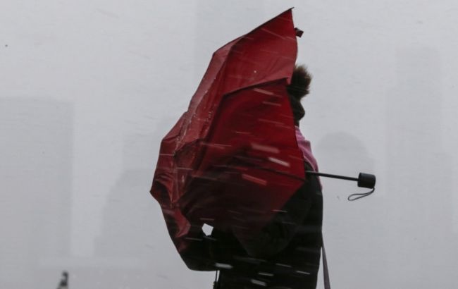 Киевлян предупредили о штормовом ветре: объявлен  I уровень опасности