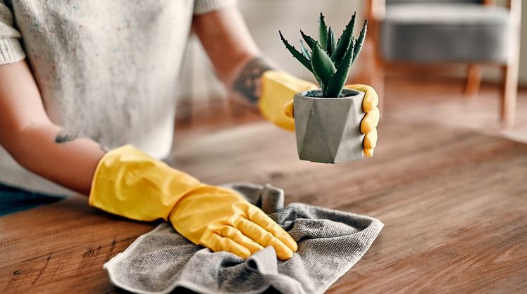Как избавиться от пыли дома: помогут и приборы, и комнатные цветы