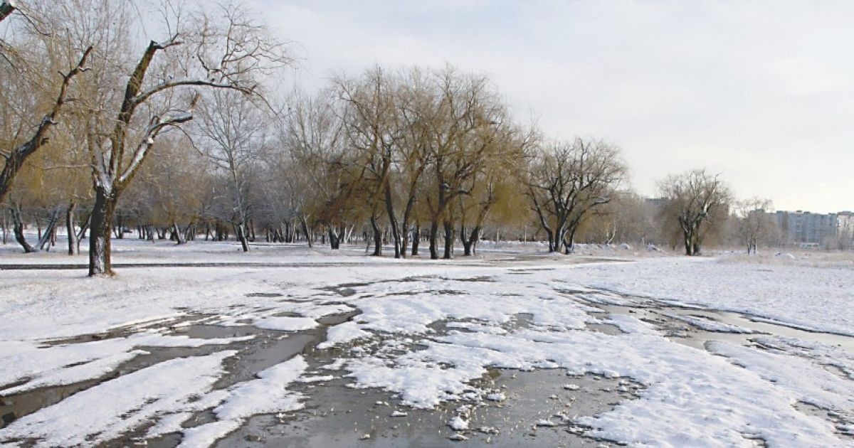 Силы у зимы заканчиваются: синоптики озвучили прогноз погоды на выходные 25–26 февраля